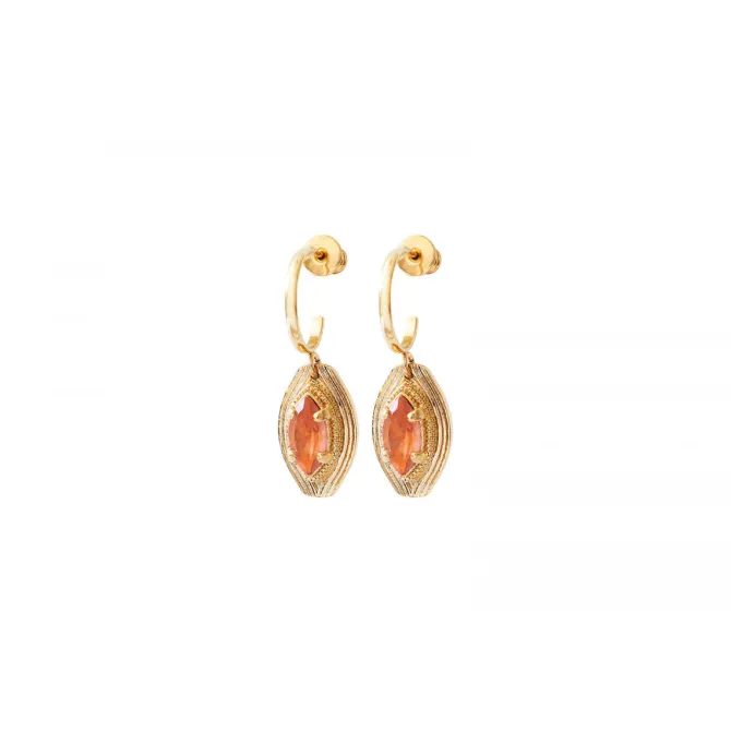 Sun hoop earrings - roses